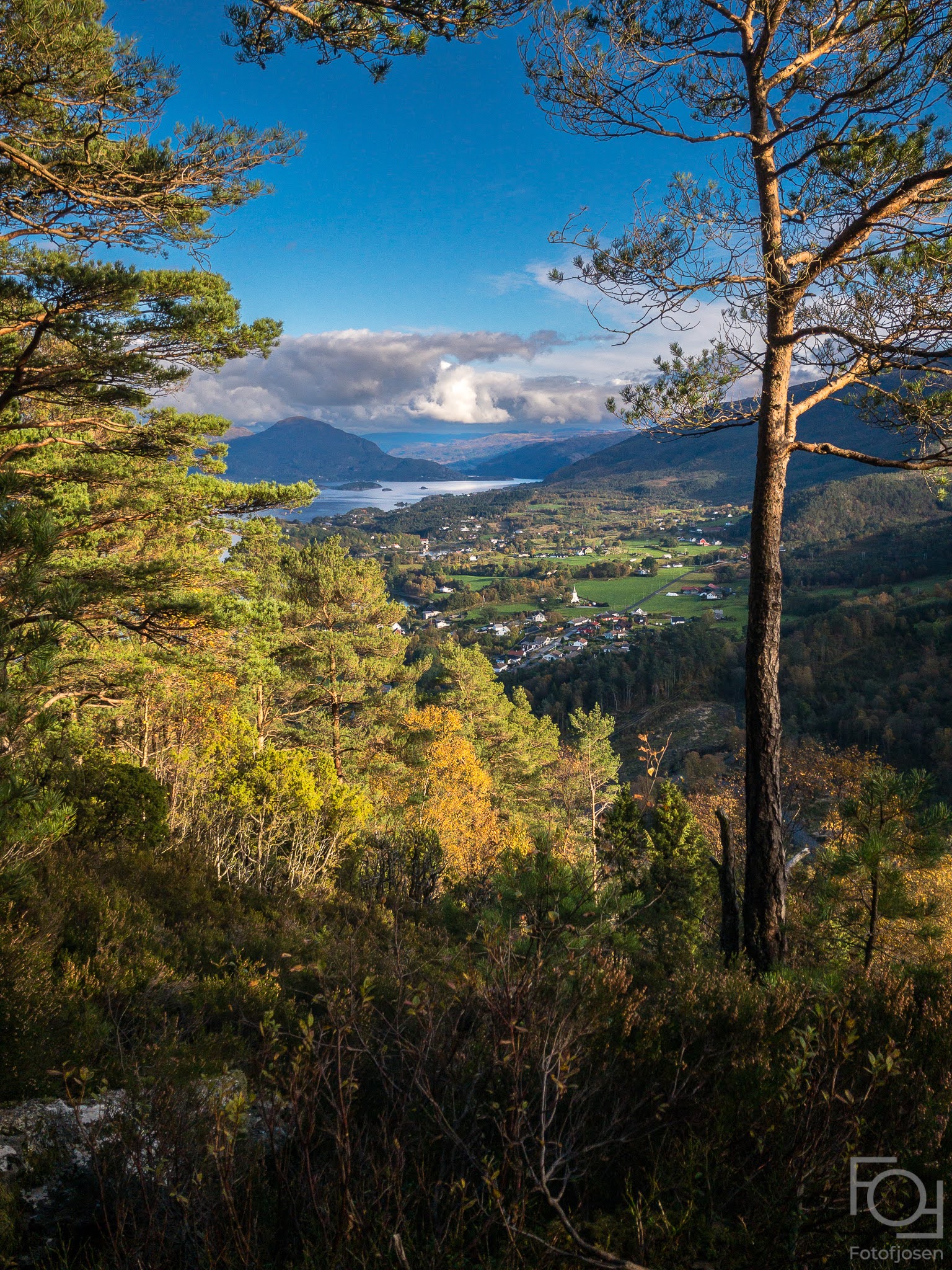 2020-10-12-iPhone test RAW-00006